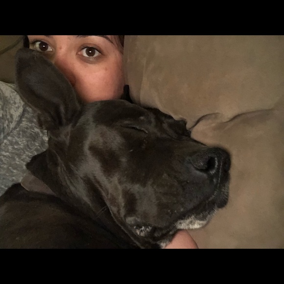 Meet your Posher, Mattie - Picture 6 of 6